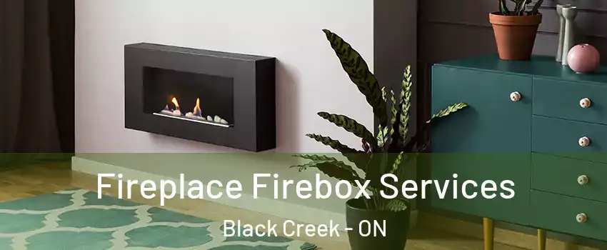  Fireplace Firebox Services Black Creek - ON