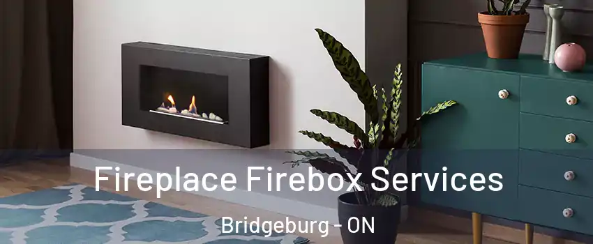  Fireplace Firebox Services Bridgeburg - ON