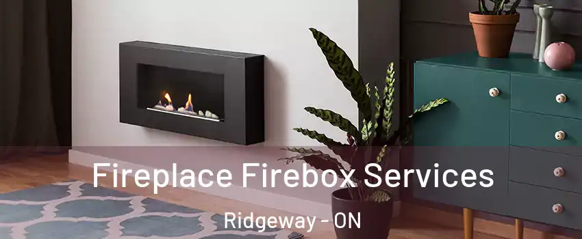  Fireplace Firebox Services Ridgeway - ON