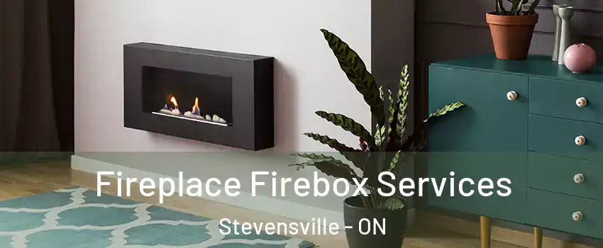  Fireplace Firebox Services Stevensville - ON