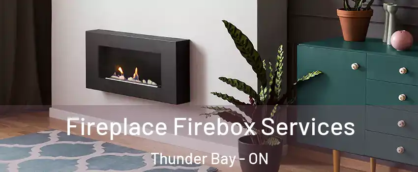  Fireplace Firebox Services Thunder Bay - ON