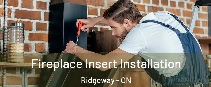  Fireplace Insert Installation Ridgeway - ON