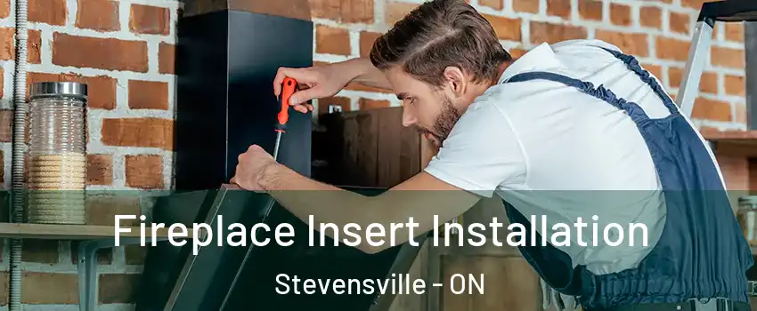  Fireplace Insert Installation Stevensville - ON