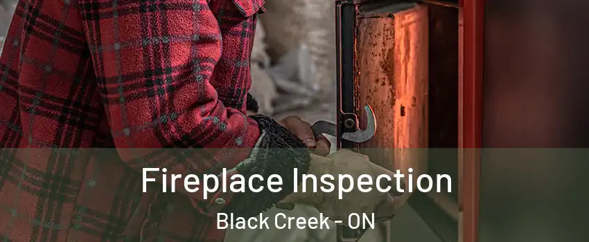  Fireplace Inspection Black Creek - ON