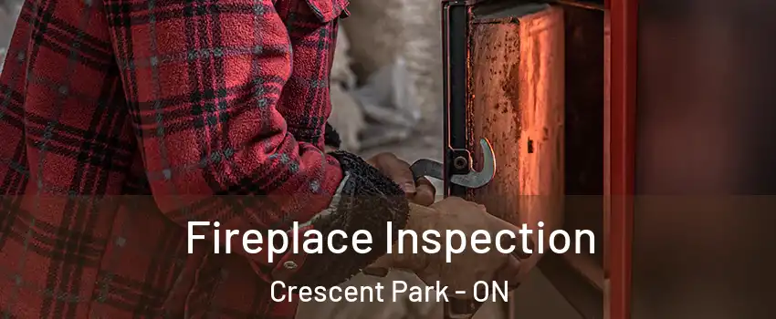  Fireplace Inspection Crescent Park - ON