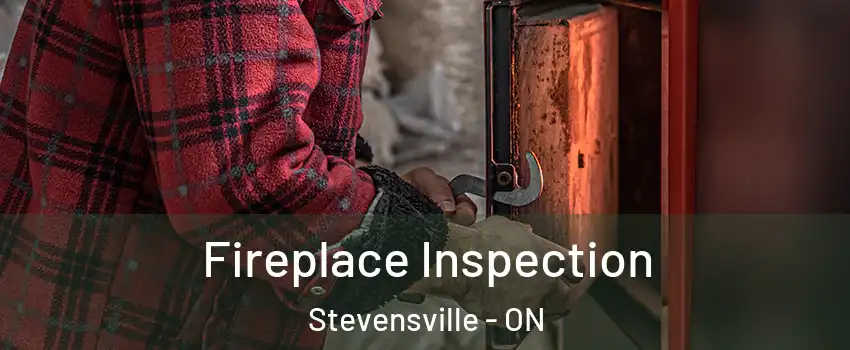  Fireplace Inspection Stevensville - ON