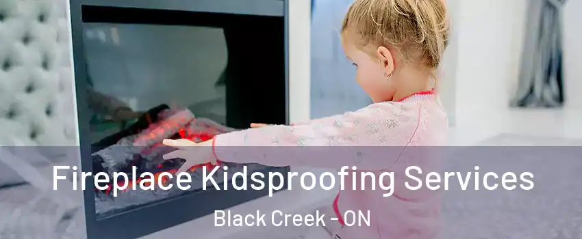  Fireplace Kidsproofing Services Black Creek - ON