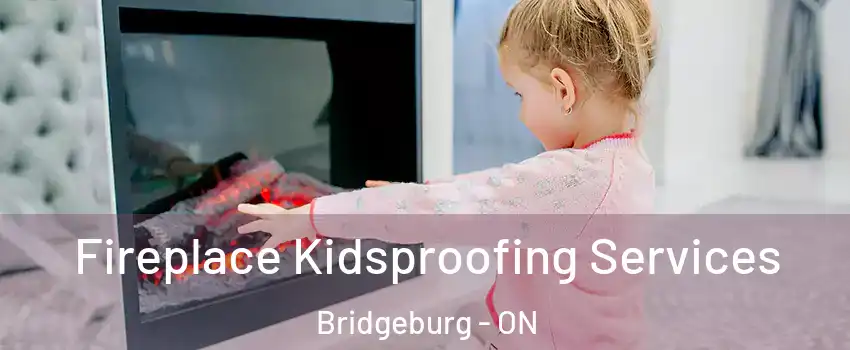  Fireplace Kidsproofing Services Bridgeburg - ON