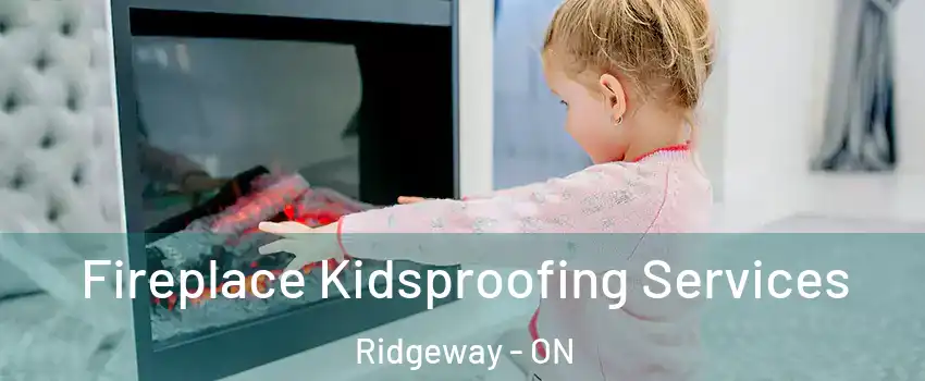  Fireplace Kidsproofing Services Ridgeway - ON