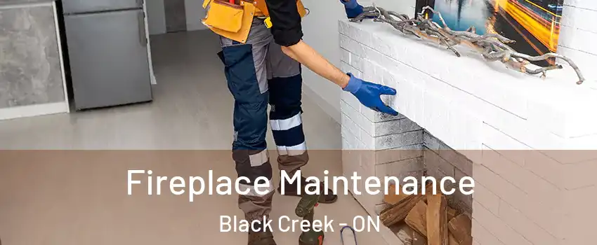  Fireplace Maintenance Black Creek - ON