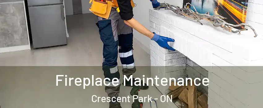  Fireplace Maintenance Crescent Park - ON