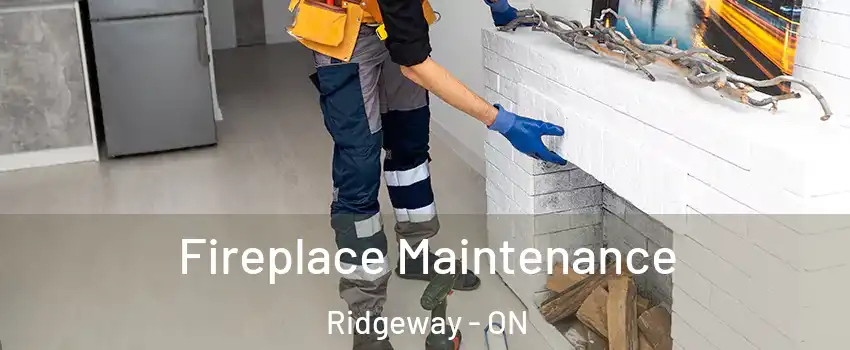  Fireplace Maintenance Ridgeway - ON