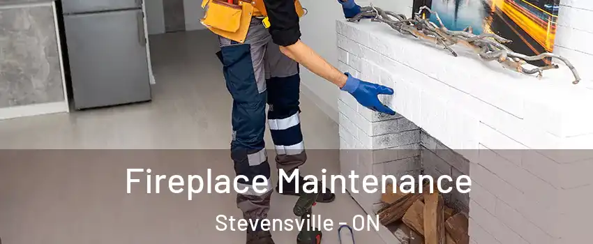  Fireplace Maintenance Stevensville - ON