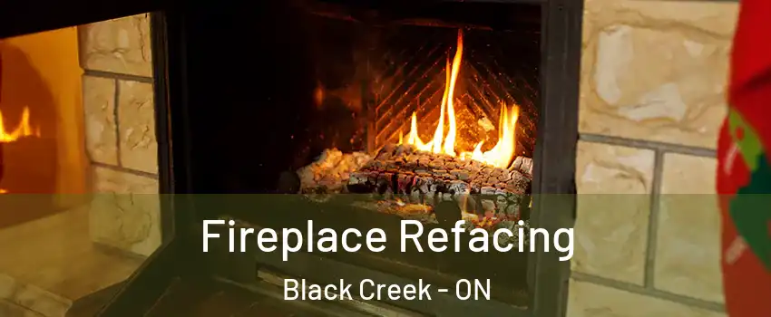  Fireplace Refacing Black Creek - ON