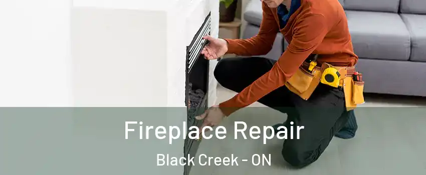  Fireplace Repair Black Creek - ON