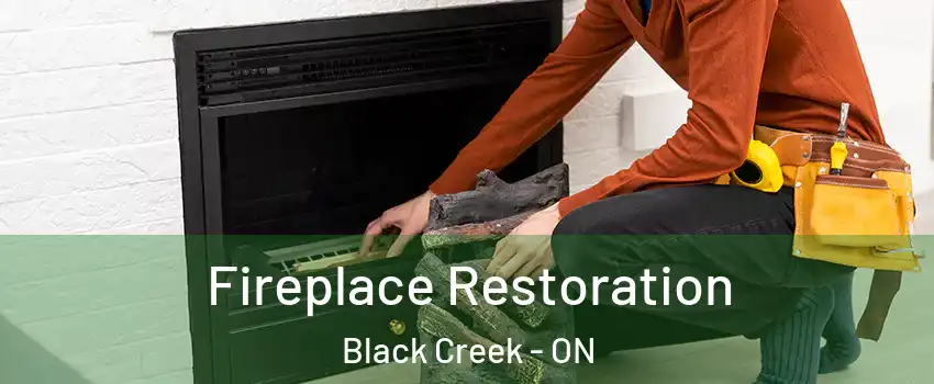  Fireplace Restoration Black Creek - ON