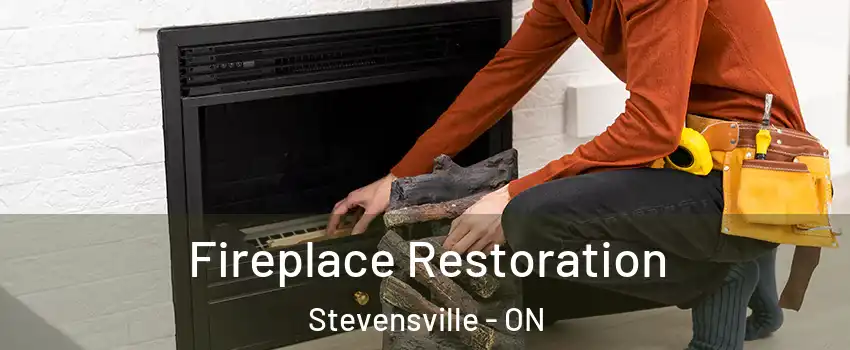  Fireplace Restoration Stevensville - ON