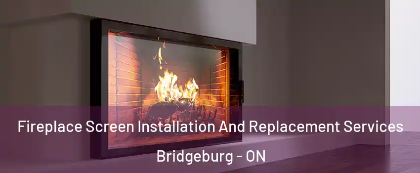  Fireplace Screen Installation And Replacement Services Bridgeburg - ON