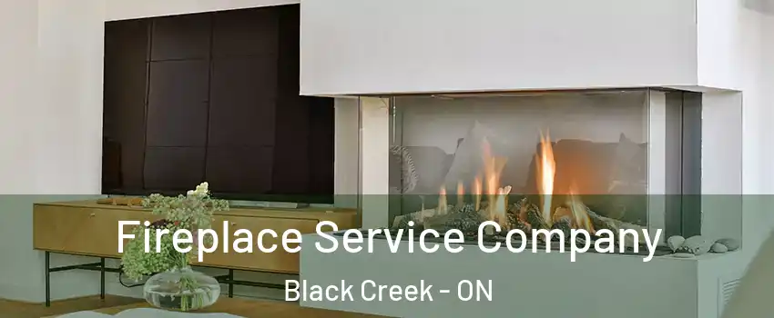  Fireplace Service Company Black Creek - ON