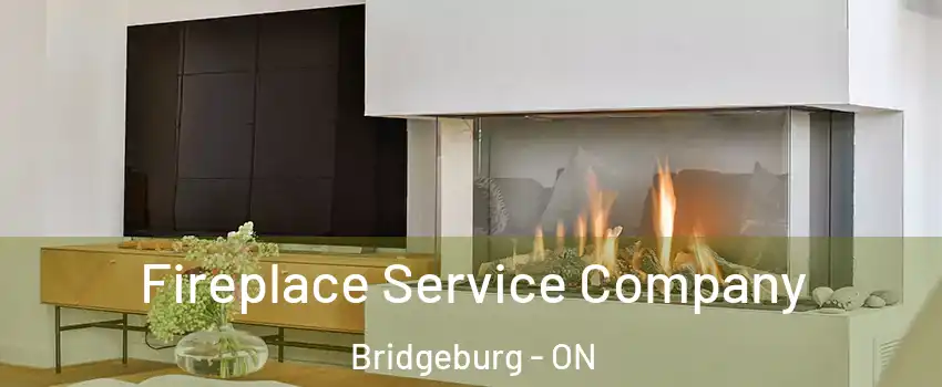  Fireplace Service Company Bridgeburg - ON