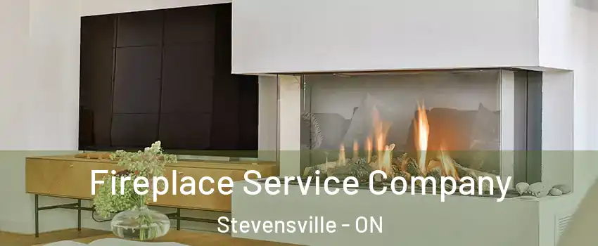  Fireplace Service Company Stevensville - ON