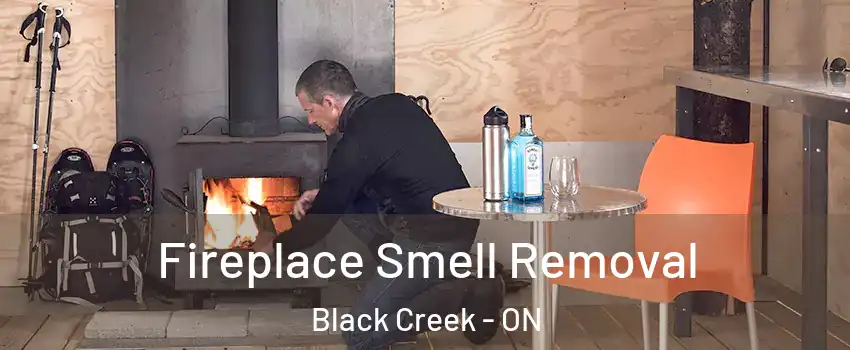  Fireplace Smell Removal Black Creek - ON