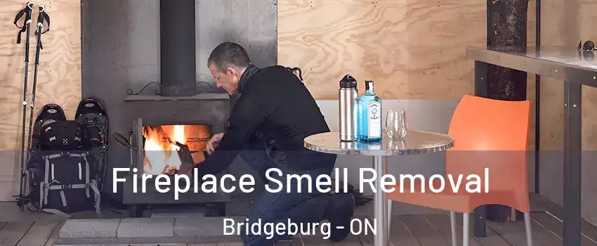  Fireplace Smell Removal Bridgeburg - ON