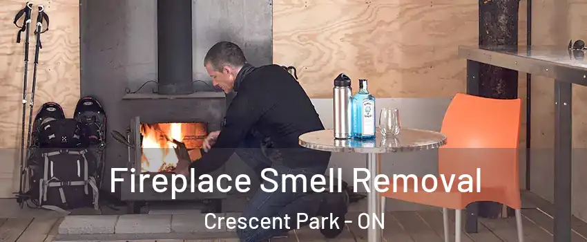  Fireplace Smell Removal Crescent Park - ON