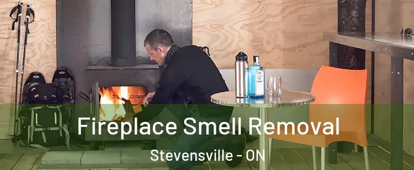  Fireplace Smell Removal Stevensville - ON