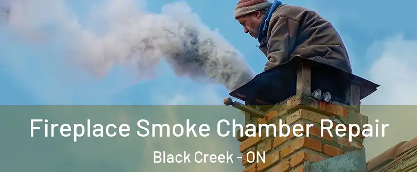  Fireplace Smoke Chamber Repair Black Creek - ON