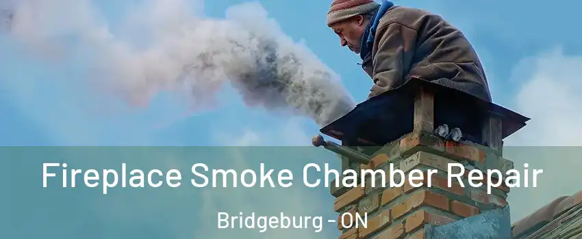  Fireplace Smoke Chamber Repair Bridgeburg - ON