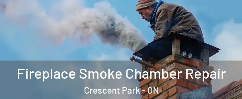  Fireplace Smoke Chamber Repair Crescent Park - ON