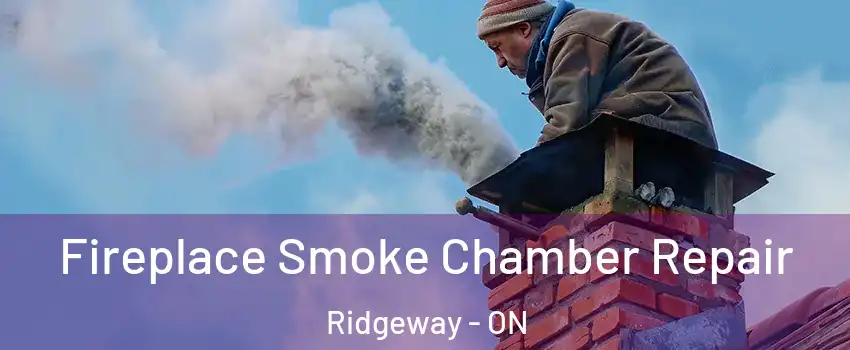  Fireplace Smoke Chamber Repair Ridgeway - ON