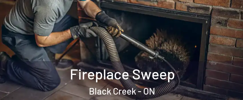  Fireplace Sweep Black Creek - ON