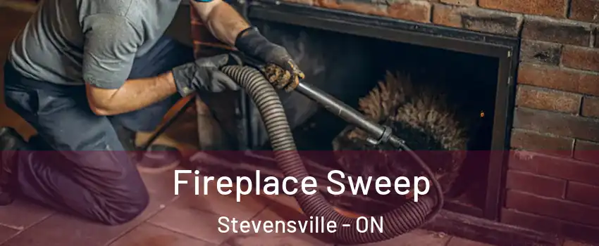  Fireplace Sweep Stevensville - ON