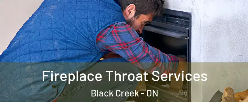  Fireplace Throat Services Black Creek - ON