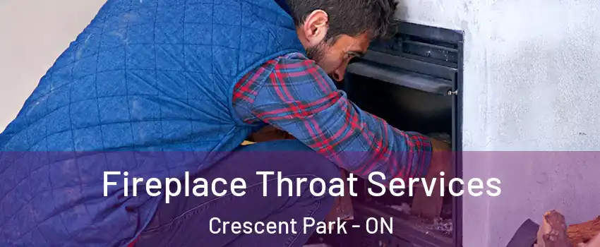  Fireplace Throat Services Crescent Park - ON