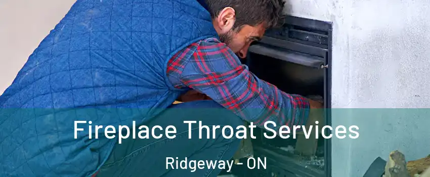  Fireplace Throat Services Ridgeway - ON
