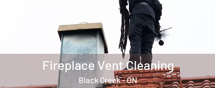  Fireplace Vent Cleaning Black Creek - ON
