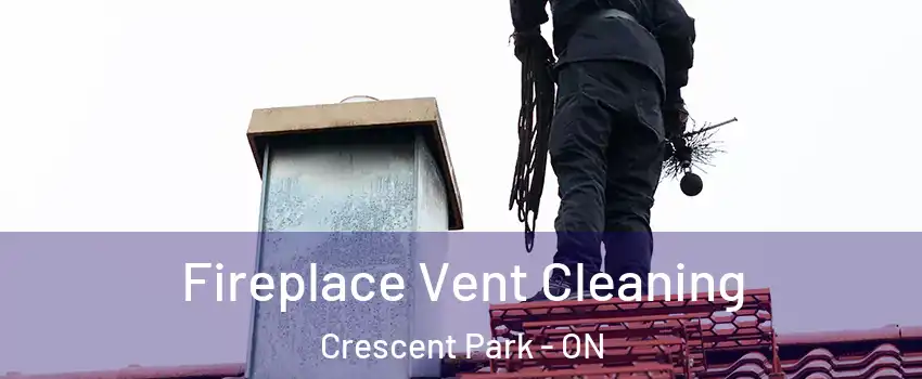  Fireplace Vent Cleaning Crescent Park - ON