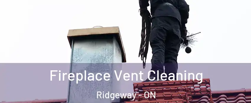  Fireplace Vent Cleaning Ridgeway - ON