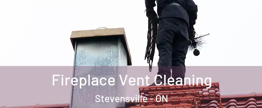  Fireplace Vent Cleaning Stevensville - ON