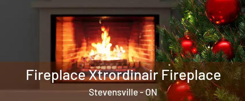  Fireplace Xtrordinair Fireplace Stevensville - ON