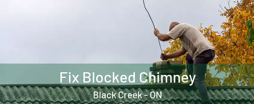  Fix Blocked Chimney Black Creek - ON