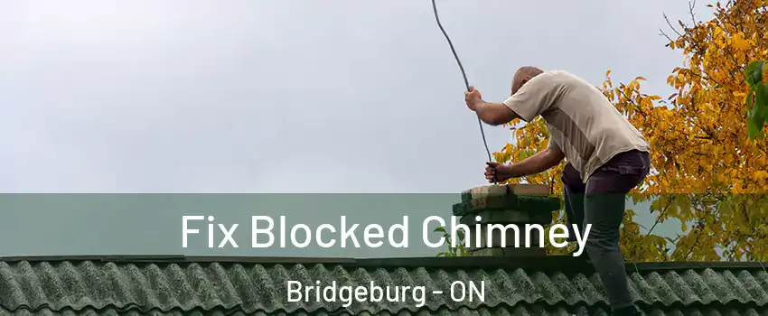  Fix Blocked Chimney Bridgeburg - ON