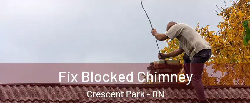  Fix Blocked Chimney Crescent Park - ON