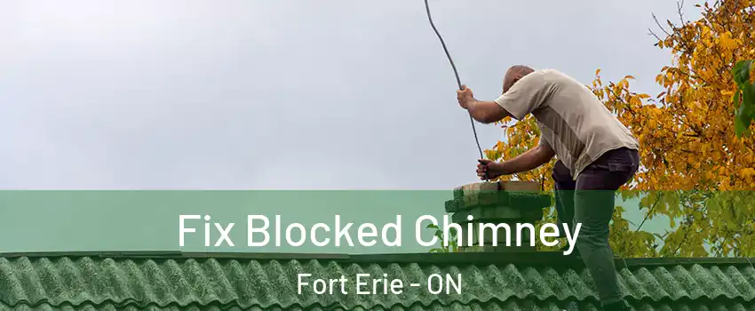  Fix Blocked Chimney Fort Erie - ON