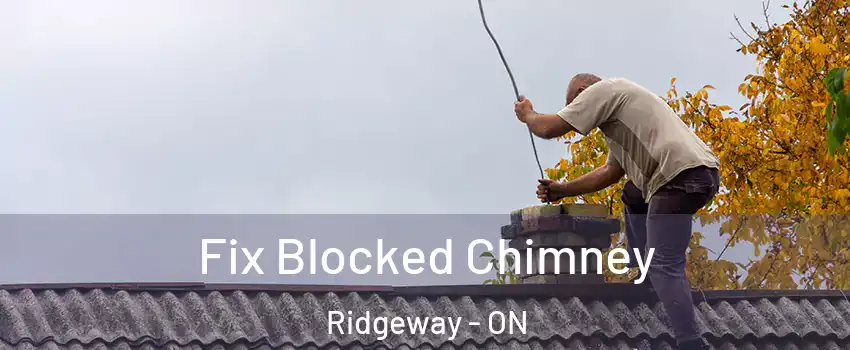  Fix Blocked Chimney Ridgeway - ON