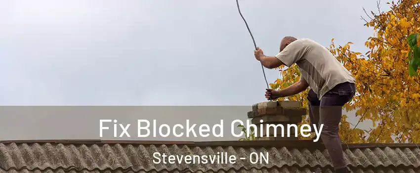  Fix Blocked Chimney Stevensville - ON