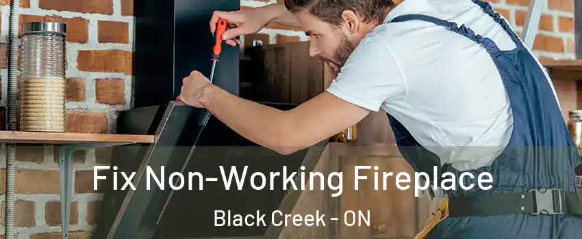  Fix Non-Working Fireplace Black Creek - ON